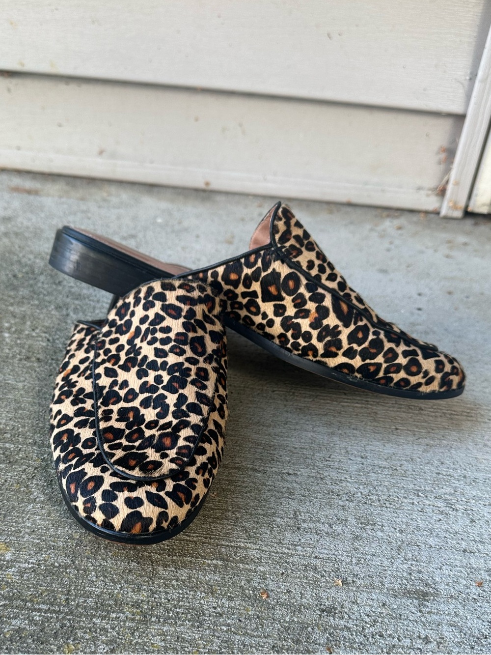 Caslon Leopard-Print Slip-On Mules in Black and Tan Genuine Cowhide